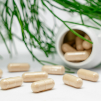 Capsule