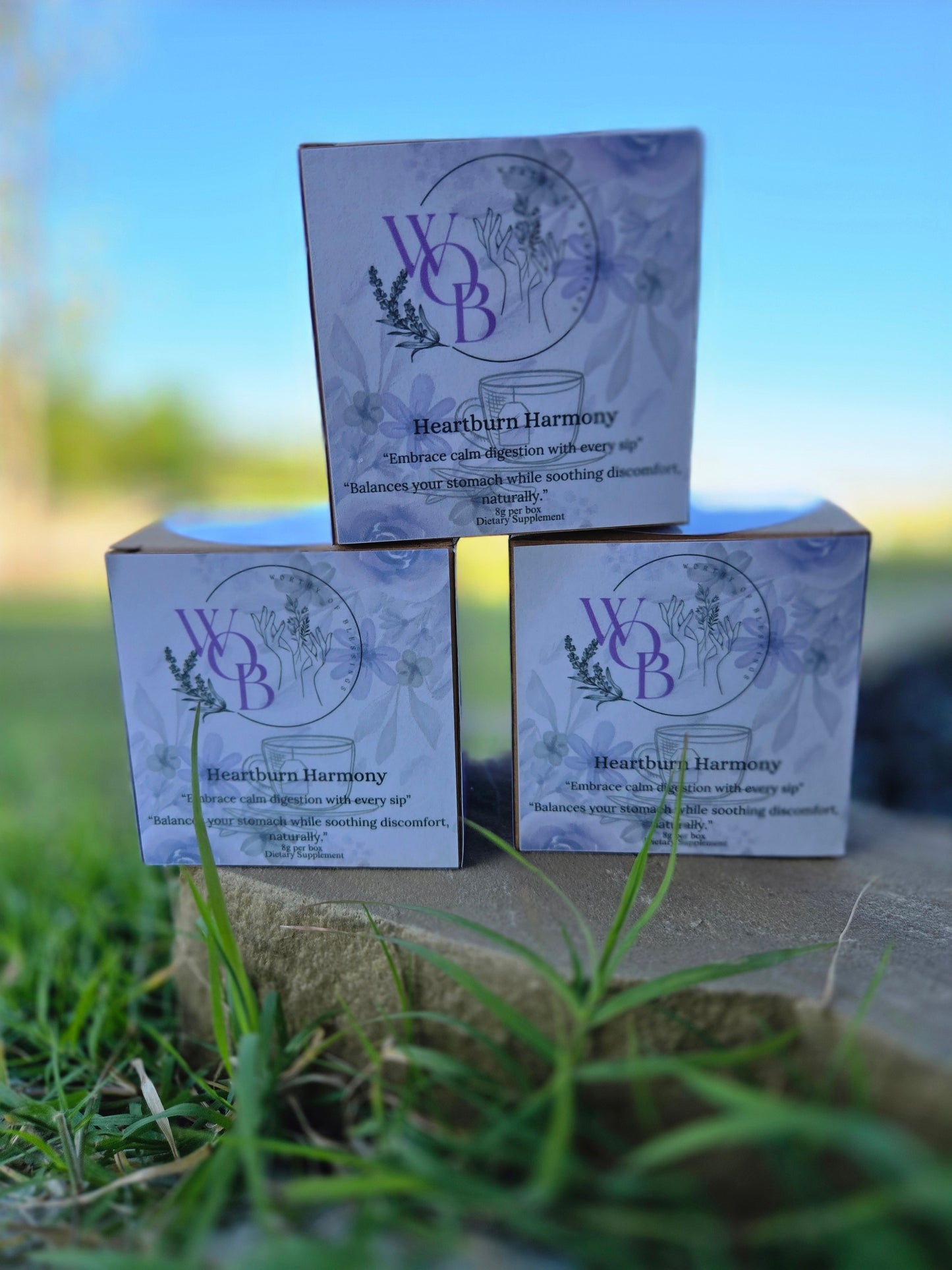 Heartburn Harmony – Herbal Tea Blend