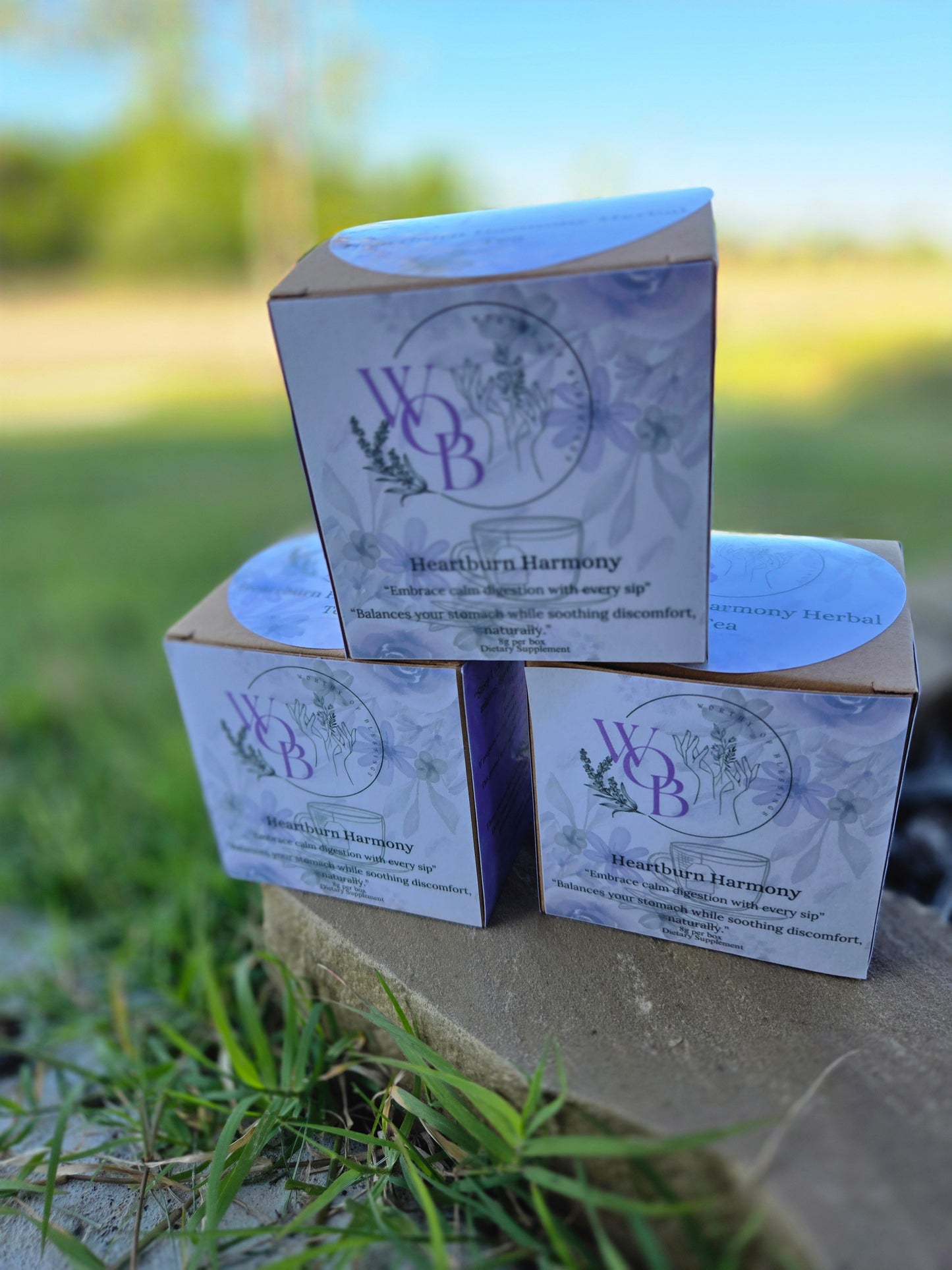 Heartburn Harmony – Herbal Tea Blend