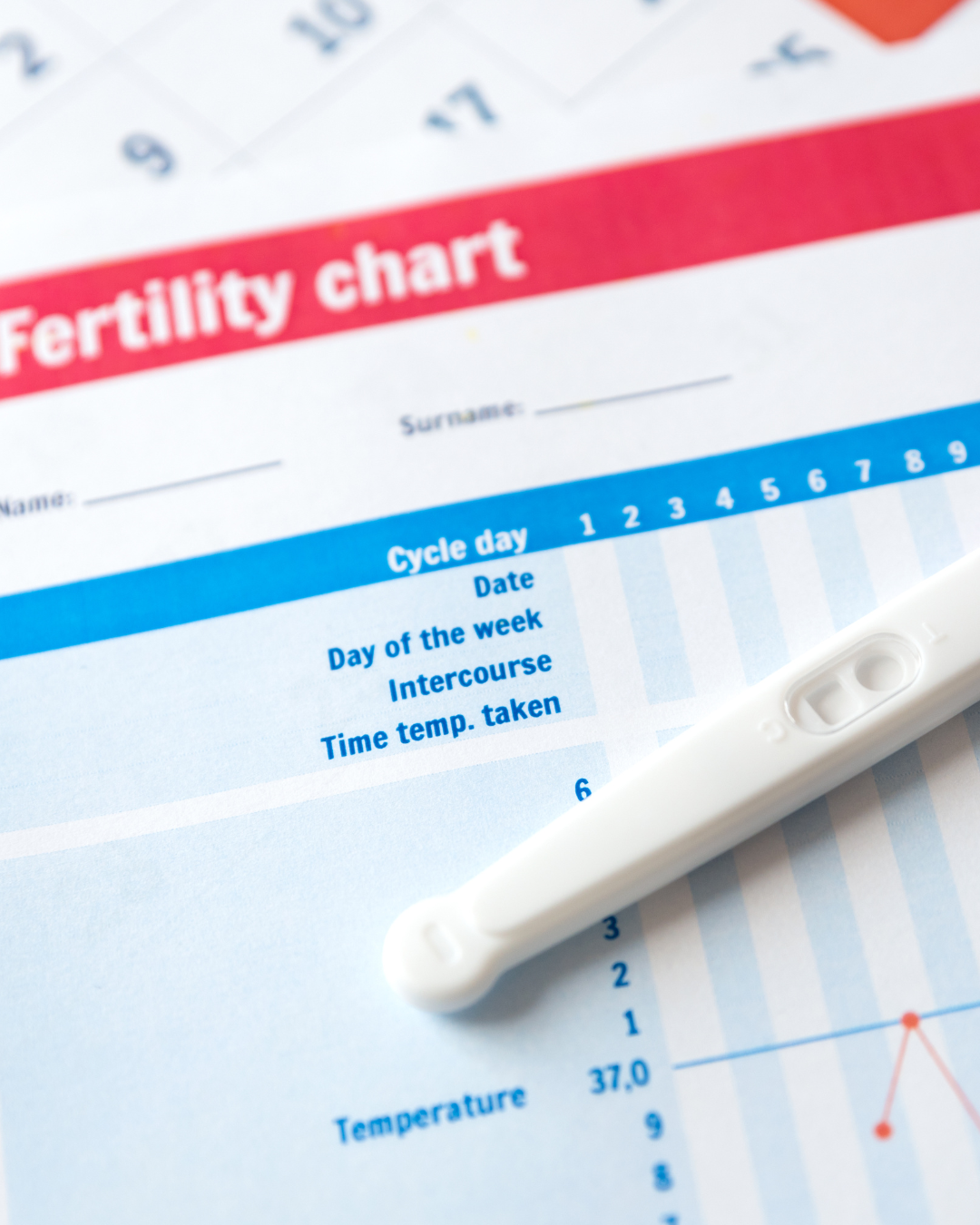 Holistic Fertility Support: Nourishing the Mind, Body, and Spirit for Conception