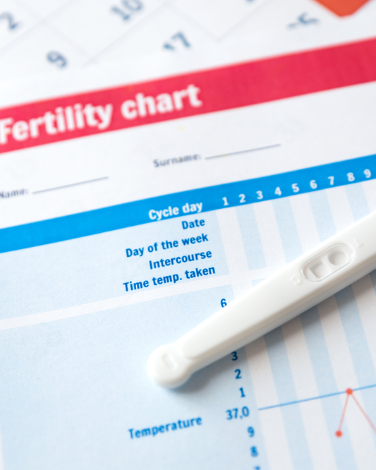 Holistic Fertility Support: Nourishing the Mind, Body, and Spirit for Conception