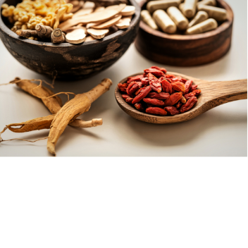 Your Gut is Talking - Are You Listening?